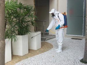 Dedetizadora de pulgas na Vila Formosa