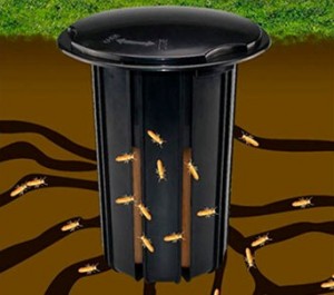 Iscas de termitas é um assunto muito complexo. Para mais informações, consulte nossa empresa de controle de pragas urbanas teremos técnicos capacitados