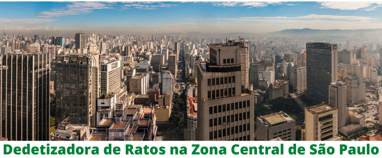  Dedetizadora de Ratos na Zona Central de São Paulo